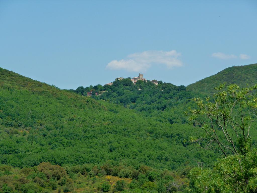 Chateau Olmet Lodève Exteriér fotografie